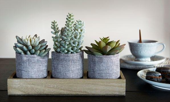 FLORA TIDY, HANOI & FLORA TIDY HYLLA 3 st Liten H20 B30 D12 cm Mellan H25