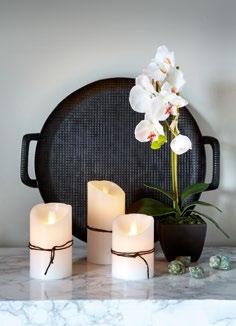 229:-/25,50 WHITE ORCHID H60 cm, Kruka 9x9x10 cm 22310