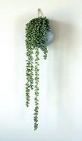 FLORA MONSTERA stor H120 cm