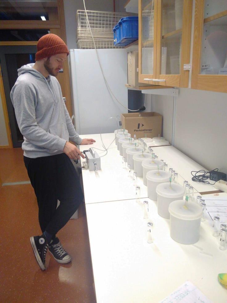 Glasvialerna lämnades in för analys med en gaskromatograf. Mätningar gjordes i fyra omgångar per cylinder med intervallerna 0, 10, 20, 30 minuter mellan varje mätningstillfälle.
