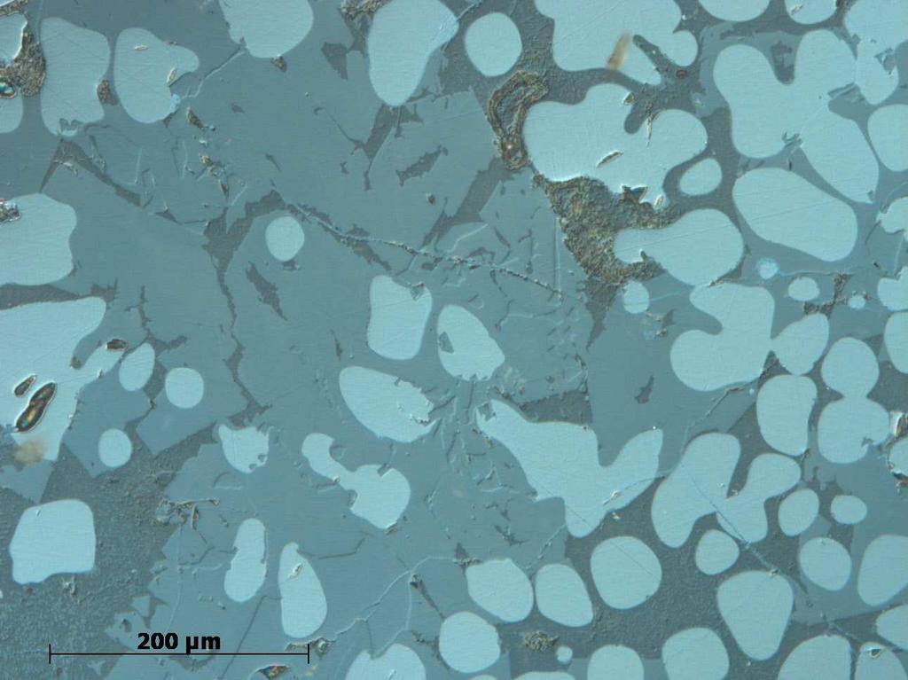 Figur 4. F236, foto från mikroskopet.