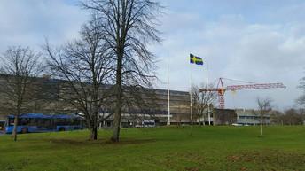 Nya dörrar har öppnats för den viktiga Bildterapin!