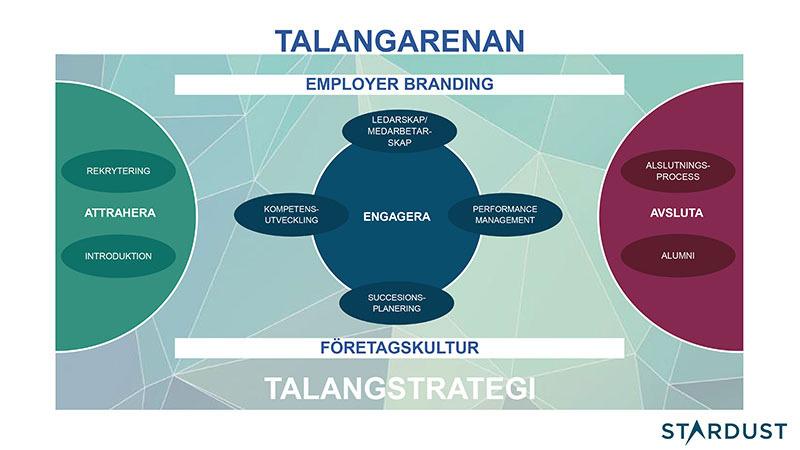 Bakgrund till Talent Management DEL 1 TM BAROMETERN Talent Management (TM) är ett samlingsbegrepp för alla de processer och initiativ som tas för att attrahera, utveckla och engagera rätt medarbetare