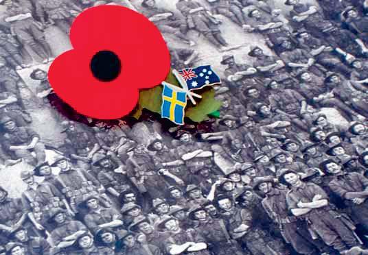 Great suffering was caused to these two relatively small countries by the loss of so many of its young men.