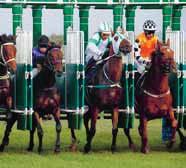 . Sunday May th.0 pm THE ANZAC CUP 0 Welcome to Täby Racecourse and join friends and families at the ANZAC Cup.