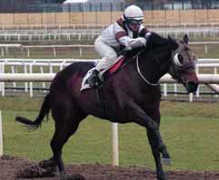 TIPS & RANK Lopp - V- Mr David Afaal Earth Hour 7 Amazing Tiger 6 Mutaaleq Hurry Lime Timeless Stride Ett högklassigt sprinterlopp med många kända profilhästar i Klass.