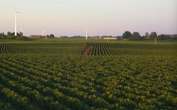 Sverige Uppsala Västmanland Östergötland Gotland Jönköping V:a Götaland Halland Skåne Åkermark (kha) Andel åkermark (%)