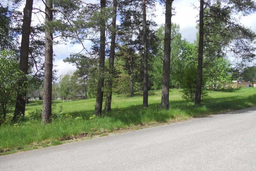 4(8) Service Planområdet ligger nära stadens centrum och har därför god tillgång till ett brett utbud av service. Bebyggelse Planområdet är obebyggt.