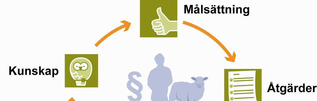 Figur 1. Schematisk bild över den adaptiva förvaltningen Det är Naturvårdsverkets utgångspunkt att förvaltningen av stora rovdjur ska vara adaptiv.