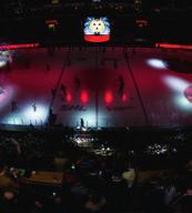 Vid första hemmamål fyller vi isen med ett regn av tigrar som ger många behövande barn en lite bättre tillvaro. Ditt företagsnamn exponeras på mediakub under matchen samt på Brynäs IF:s hemsida.