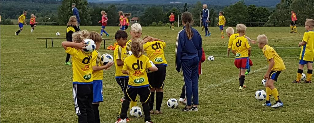 Utvecklingskommittén Utvecklingskommittén Dalarnas Fotbollförbunds Utvecklingskommitté, som under styrelsen haft ansvar för bl a ledaroch tränarutbildning, distriktslagsverksamheten och