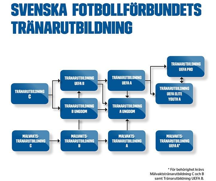 Utvecklingskommittén Tränarutbildning Under verksamhetsåret 2018 har 18 fullständiga utbildningar genomförts.