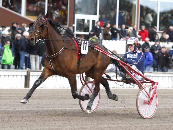 JÄMTLANDS STORA PRIS KALLBLODENS DERBYBANA LÖRDAG / FÖRSTA START KL.. www.