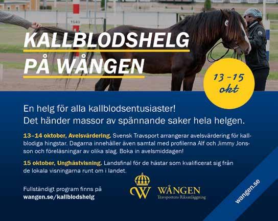 0:0 b Wångens & PWC s Lärlingsserie - Guldhandsken -åriga och äldre.00 -.000 kr, körda av C-E- eller F- licensinnehavare. 0 m. Autostart. Pris: 0.000-0.000-.00-.000-.000-.00- (.00)-(.00) kr.