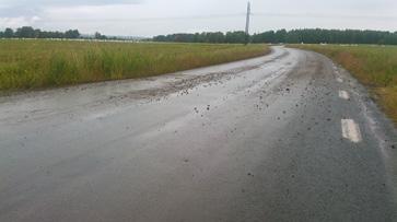 Ovan: Beläggningsarbetet på väg