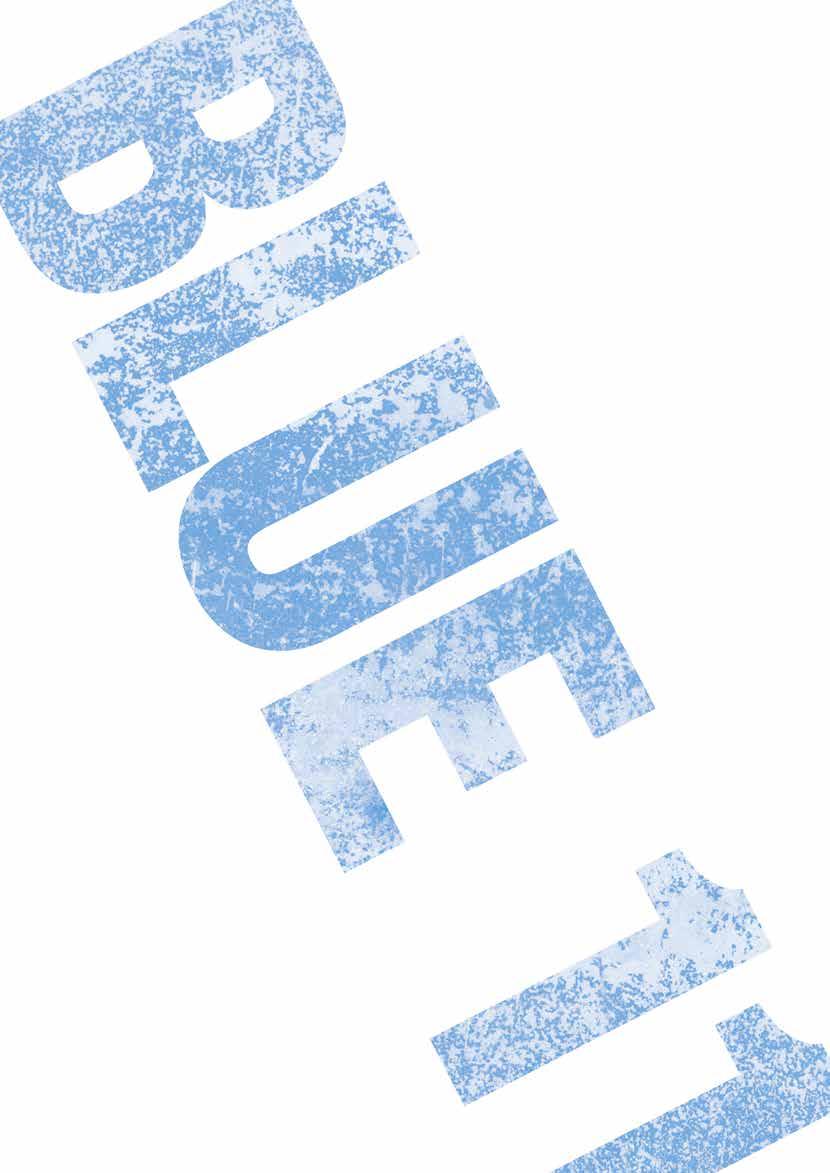 Blue 11 Rapport