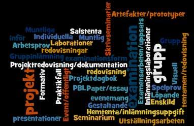 Pedagogiken i programmet grundar sig på ett studentcentrerat och aktivt arbetssätt, som är anpassat till kursens innehåll, kunskapsform och lärande sammanhang.