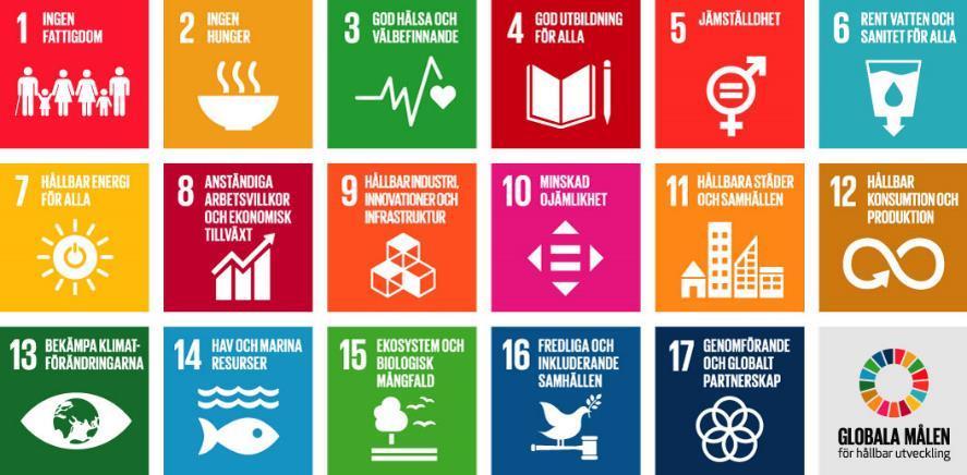 Länkar: UNDPs hemsida om globala