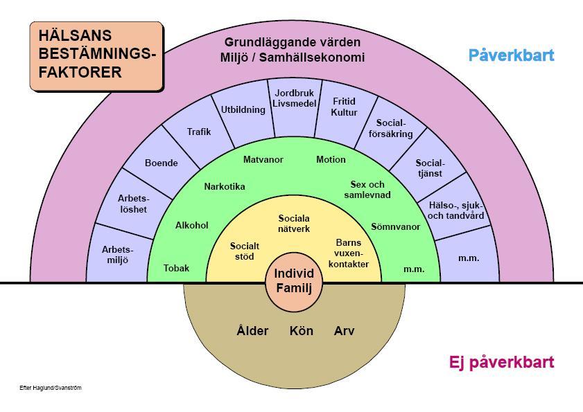 Figur 1. Hälsans bestämningsfaktorer Källa: Dahlgren & Whitehead, 1993 beskriven i Dahlgren & Whitehead, 2006, s. 21. 2.3 Folkhälsoarbete Folkhälsoarbete kan delas in i primär, sekundär och tertiär prevention.