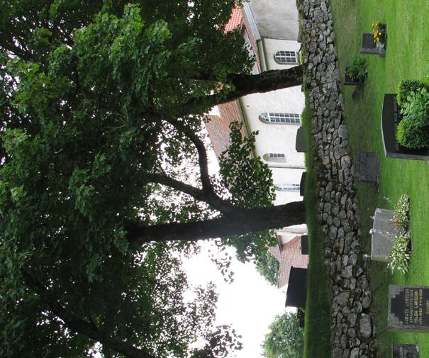 Tune Anundsson hade vid denna tid patronatsrätten över kyrkan, vilket innebar att han hade rätt att tillsätta kyrkoherde i pastoratet.
