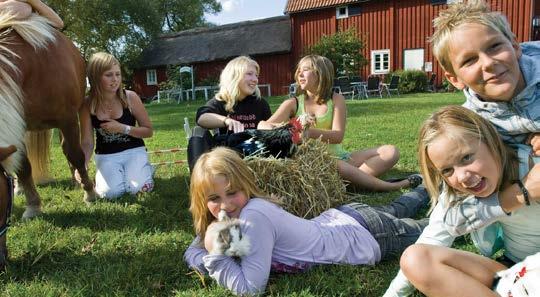 4H-klubbens uppstartsmöte- förslag till ärendelista 11 Val av minst dessa styrelseledamöter: ordförande, sekreterare och kassör.