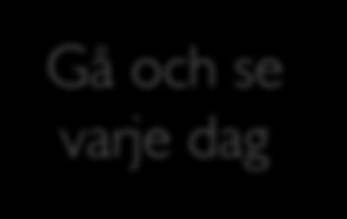 Managementsystem i världsklass Gå och se varje dag Daglig Ledarstandarder Vetenskaplig metod Källa: G Kaplan, Virginia Mason M C Styr och stöd i realtid Leder förbättringsmotorn dagligen