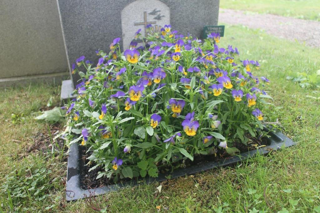 Planteringsavtal Du kan komplettera skötselavtalet med plantering.