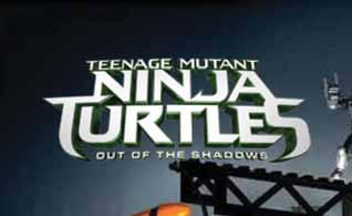 Teenage Mutant Ninja Turtles are trademarks of Vi