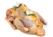 79761 KAMBEN, FRYST Polen ca 5 kg Evryday  4821 189 00
