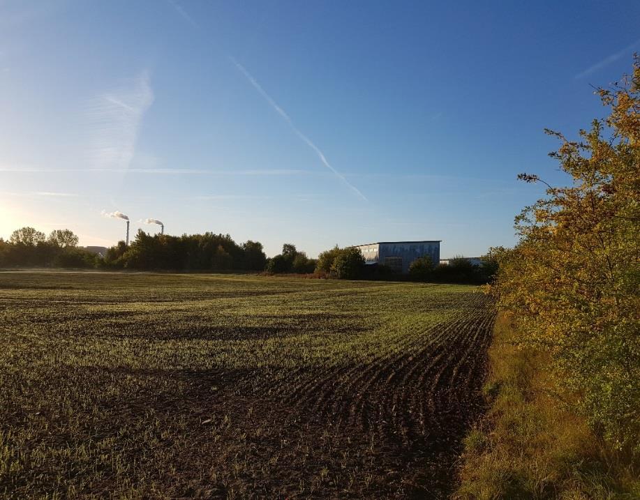 linje på bilden till höger. Den nya detaljplanen tar sikte på att konvertera allmänplatsmark park och gata till kvartersmark.