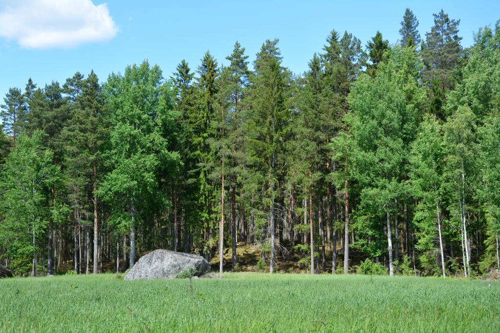 Totalareal ca 75 ha, varav ca 64 ha skogsmark med ett virkesförråd om ca 4 500 m³sk.