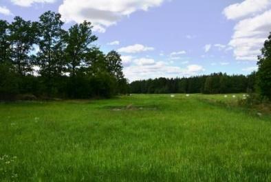 Mönsterås Långsrum 1:10 Skogsmark Skogsmarken omfattar 65,9 ha enligt skogsbruksplan uppdaterad i juni 2016 av Skog och Lantbruk.