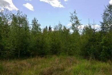 Se mer information i bifogad skogsbruksplan. Inägomark Inägomarken står fri för köparen på tillträdesdagen. Övrig mark Övrig mark utgörs av väg och kraftledning och uppgår till 1,6 ha.