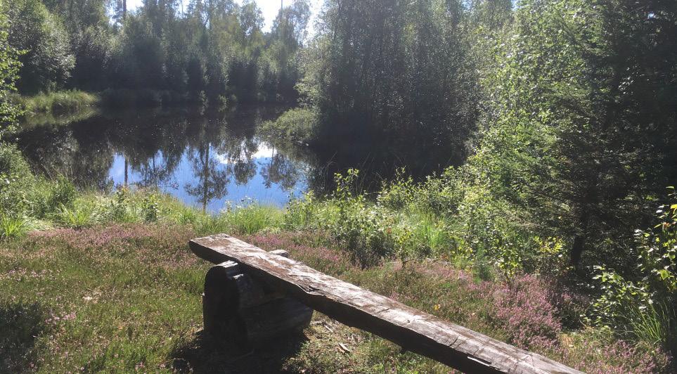 Riskanalys om farligt gods utmed järnvägen Det finns inte några generella gemensamma riktlinjer med rekommenderade skyddsavstånd för lämplig markanvändning där riskhantering ska genomföras.