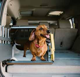 Säkerhet 360 Hundar åker ofta med i bilen under vardagen, till och från träning, hunddagis, rastning ute i