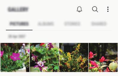 Appar och funktioner Galleri Inledning Visa bilder och videor som är lagrade på