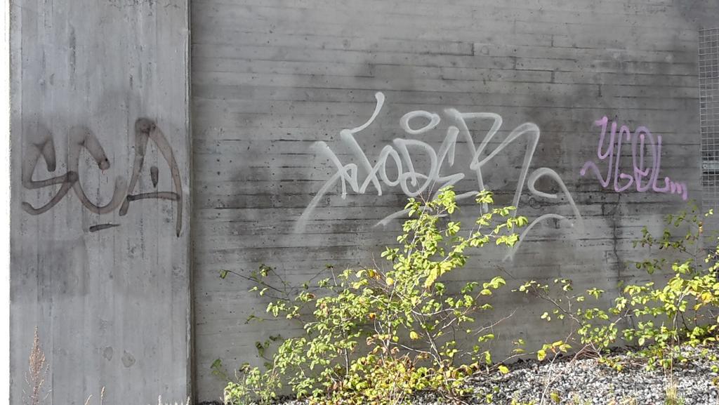 2019-02-06 Motion kring Trafikverkets bristande klottersanering Bakgrund: Stockholms Stad ansvarar för klottersanering på t ex elcentraler, papperskorgar och parkbänkar.