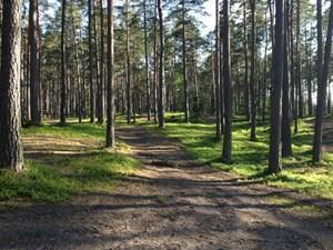 Lidköpings VSK Lidköping Ungdomens egen tävling, går i Rådas fritidsområde Vallesprinten Istrums SK Varnhem Sprinttävling i