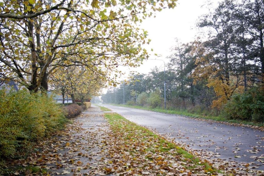 BURLÖVS KOMMUN