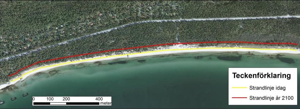 repo001.docx 2012-03-29 Figur 4-5 Strandlinjeförflyttning fram till år 2100 enligt Bruuns lag vid strandavsnitt H Ystad sandskog öster. 4.2 Översvämningsrisk Översvämningsrisken längs kommunens kuststräcka har analyserats med kommunens höjdmodell.