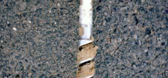 forskning + 9