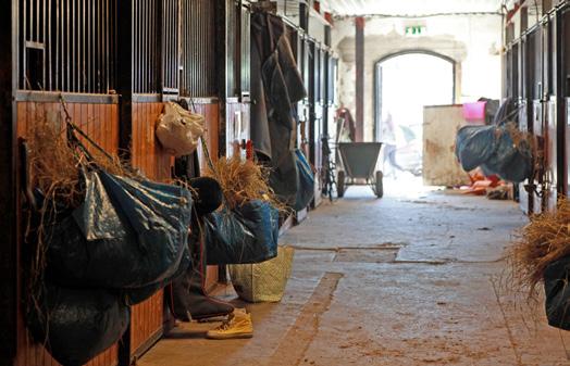 Föreningsägda anläggningar och lokaler På Tjörn finns flera stora idrottsanläggningar som ägs och drivs av föreningar. Flera föreningar upplever det som svårt, tidskrävande och betungande.