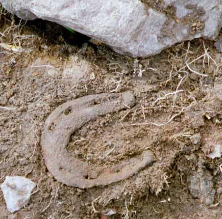 relativt få fynden pekar åt samma håll. Dokumentationsnivå 1, ca 5 cm under torv, hade en liknande fördelning av sotfärgat lager i golvet.