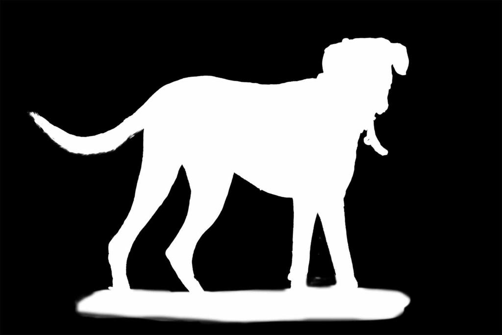 och minst 12 månader. * Hunden måste vara fastande. * Ta med registreringsbevis. För att hjälpa din uppfödare i sitt avelsarbete.