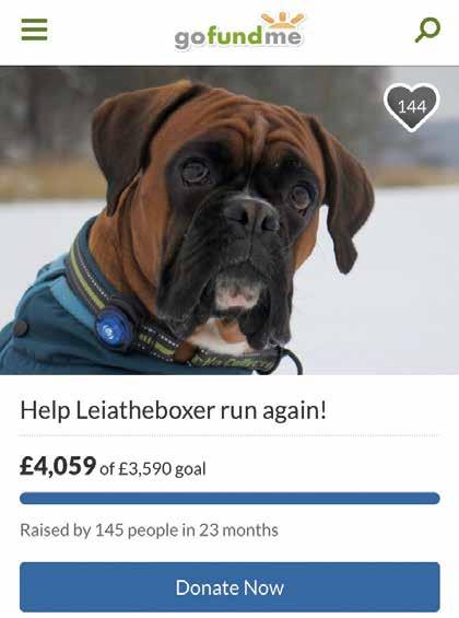 Efter en timmes genomgång så var det dags för Leia att göras ordning för operationen och för oss att åka tillbaka till hotellet. Jag tror aldrig tiden har gått så långsamt.