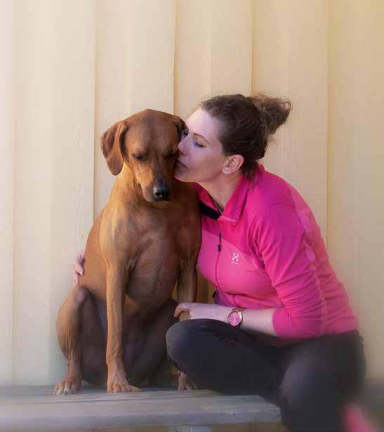FYSTERAPEUTISK BEHANDLING AV HÖFTLEDSDYSPLASI En frisk hund med välfungerande leder får full kraft i sina rörelser då den kan använda musklerna på rätt sätt.