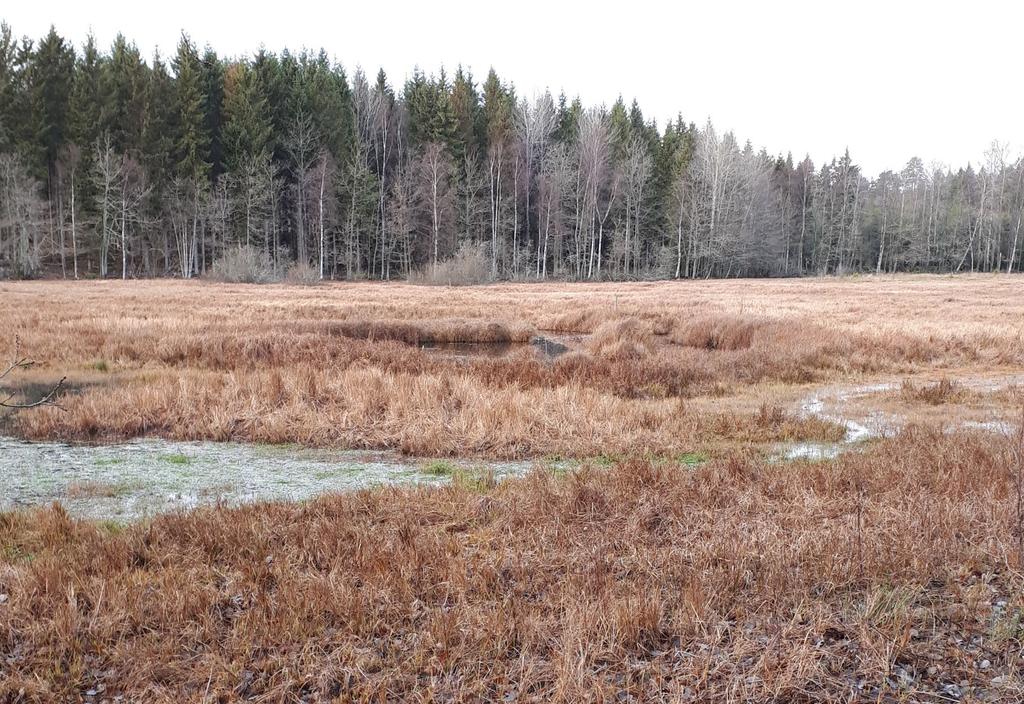 avvägning av