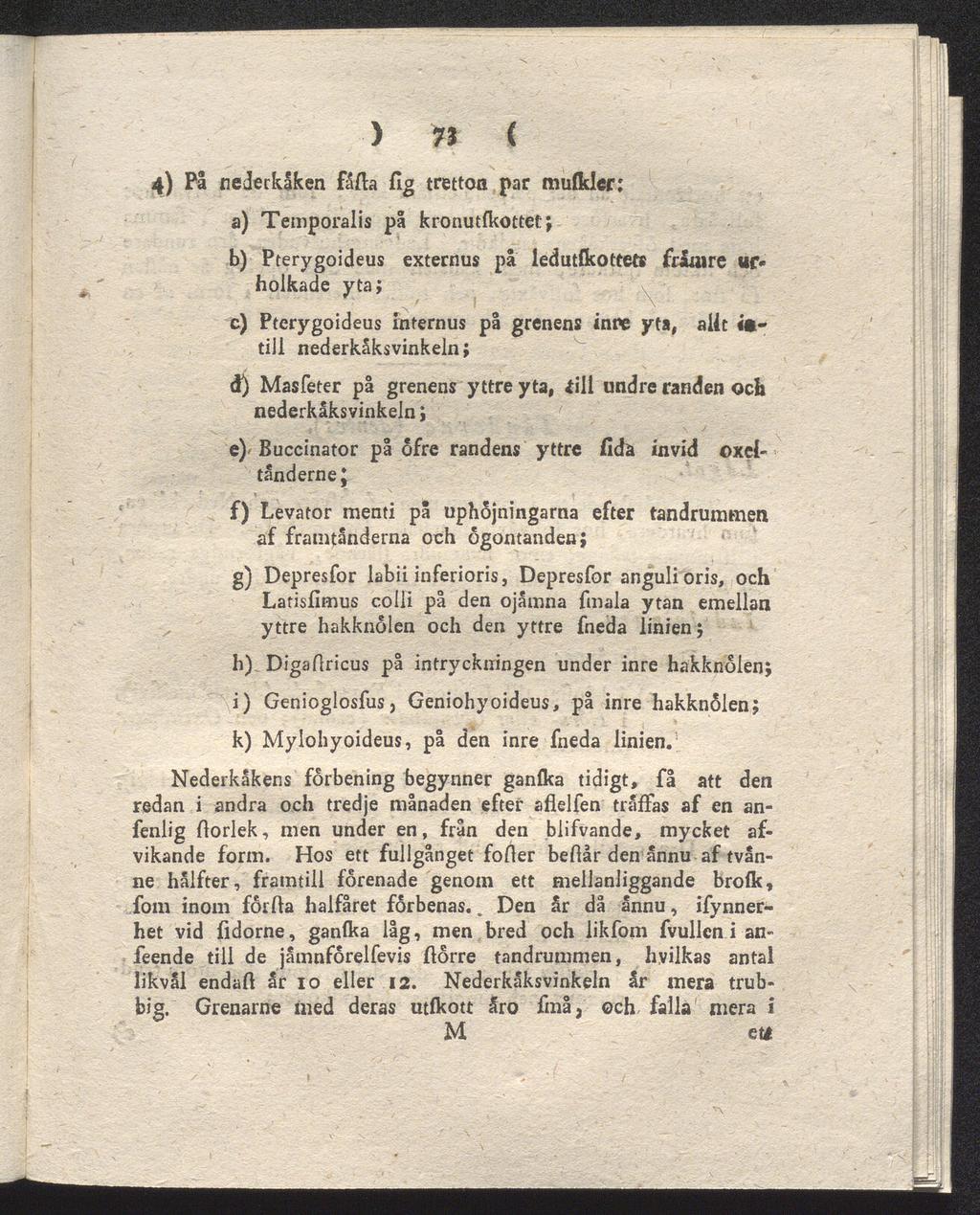 ) 7i ( 4) På nederkaken fålla lig tretton par mulkler; a) Temporalis på kronutlkottet; b) Pterygoideus externus på ledutfkottete friaire ur holkade yta; c) Pterygoideus internus på grenens inne yta,