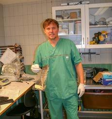 Ulf stänger om skeletten och vi är ute i den publika delen av museet igen, där monterade fåglar finns till beskådan. De utgör bara toppen av ett isberg av allt som finns bevarat på museet.