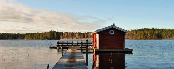 Övrig mark utgörs av normaluppvuxen skogsmark.